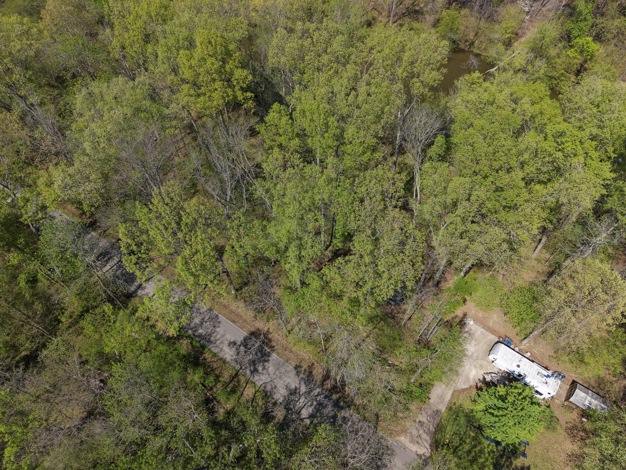 1321 Chapmansboro Road Chapmansboro, TN 37035 - Photo 9 of 12 a view of a forest with a tree