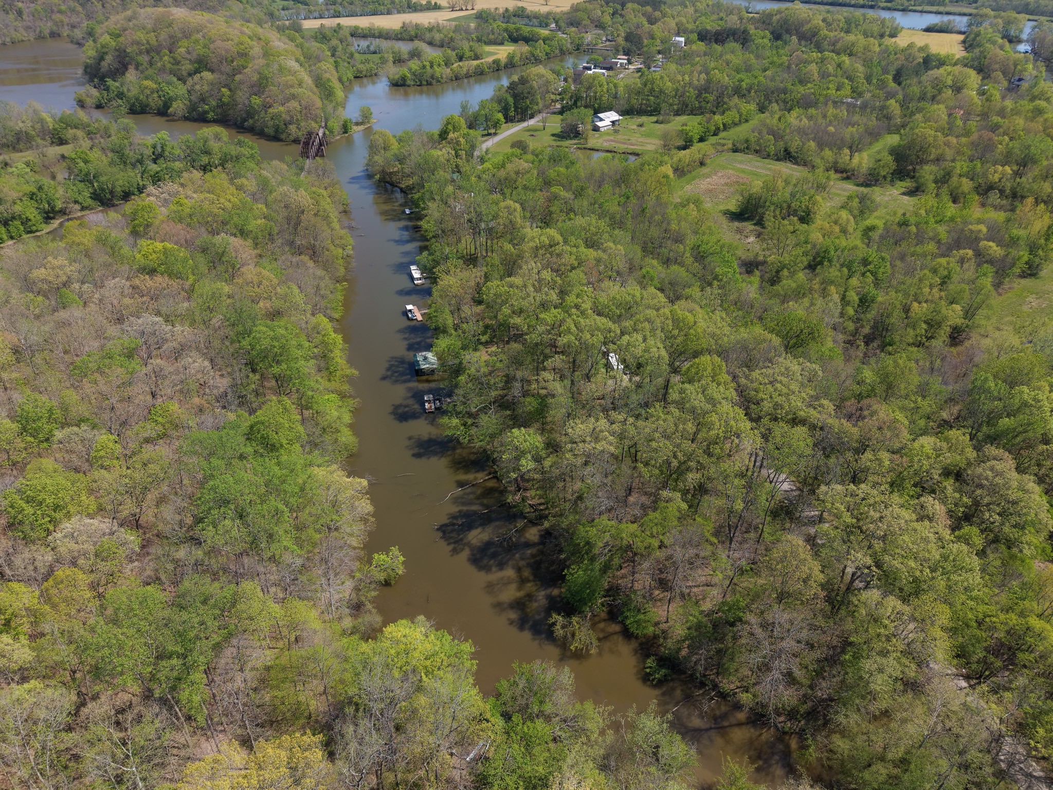 1321 Chapmansboro Road Chapmansboro, TN 37035 - Photo 10 of 12 a view of a forest with a houses