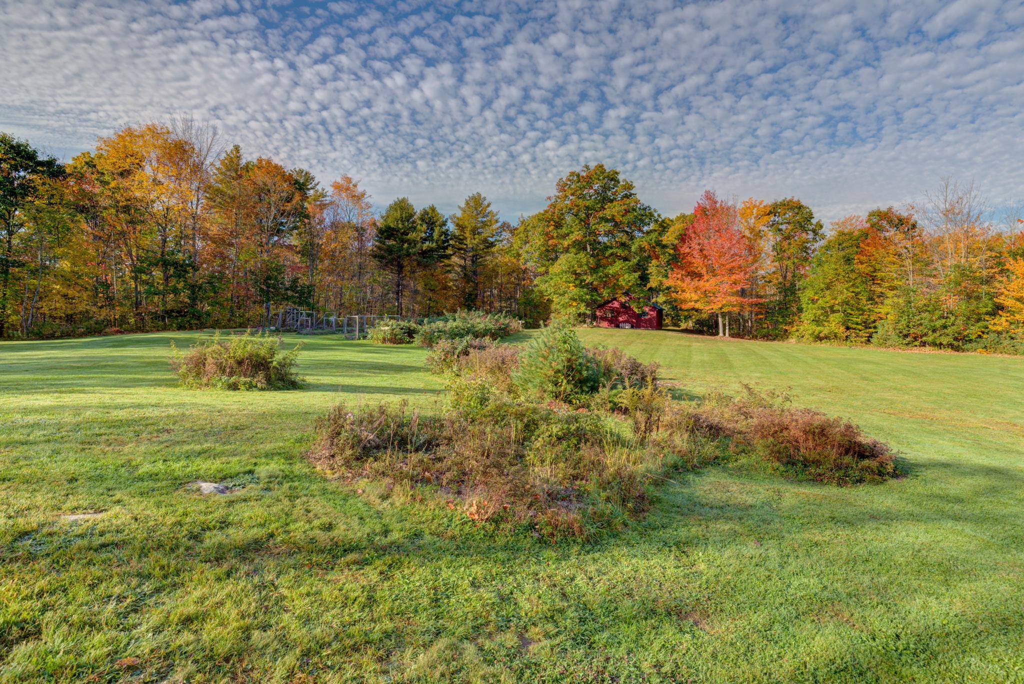 697 Stevenstown Road Litchfield, ME 04350 - Photo 39 of 59 Backyard