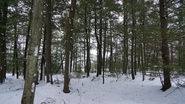 $230,000 | 43-ac County Road FF, Merrill, WI 54452