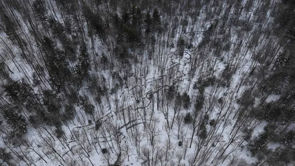 $230,000 | 43-ac County Road FF, Merrill, WI 54452