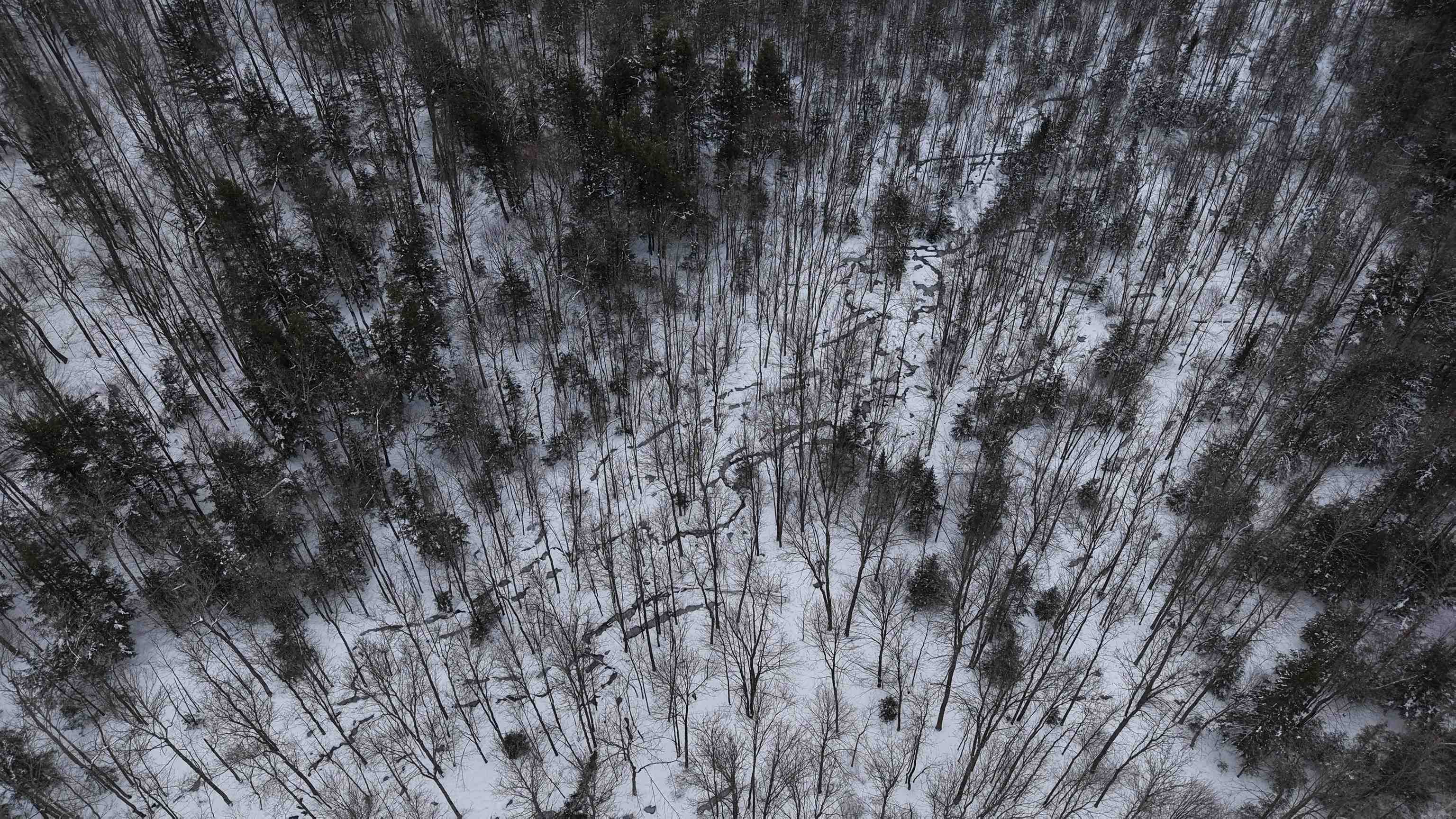 43-ac County Road FF Merrill, WI 54452 - Photo 3 of 24