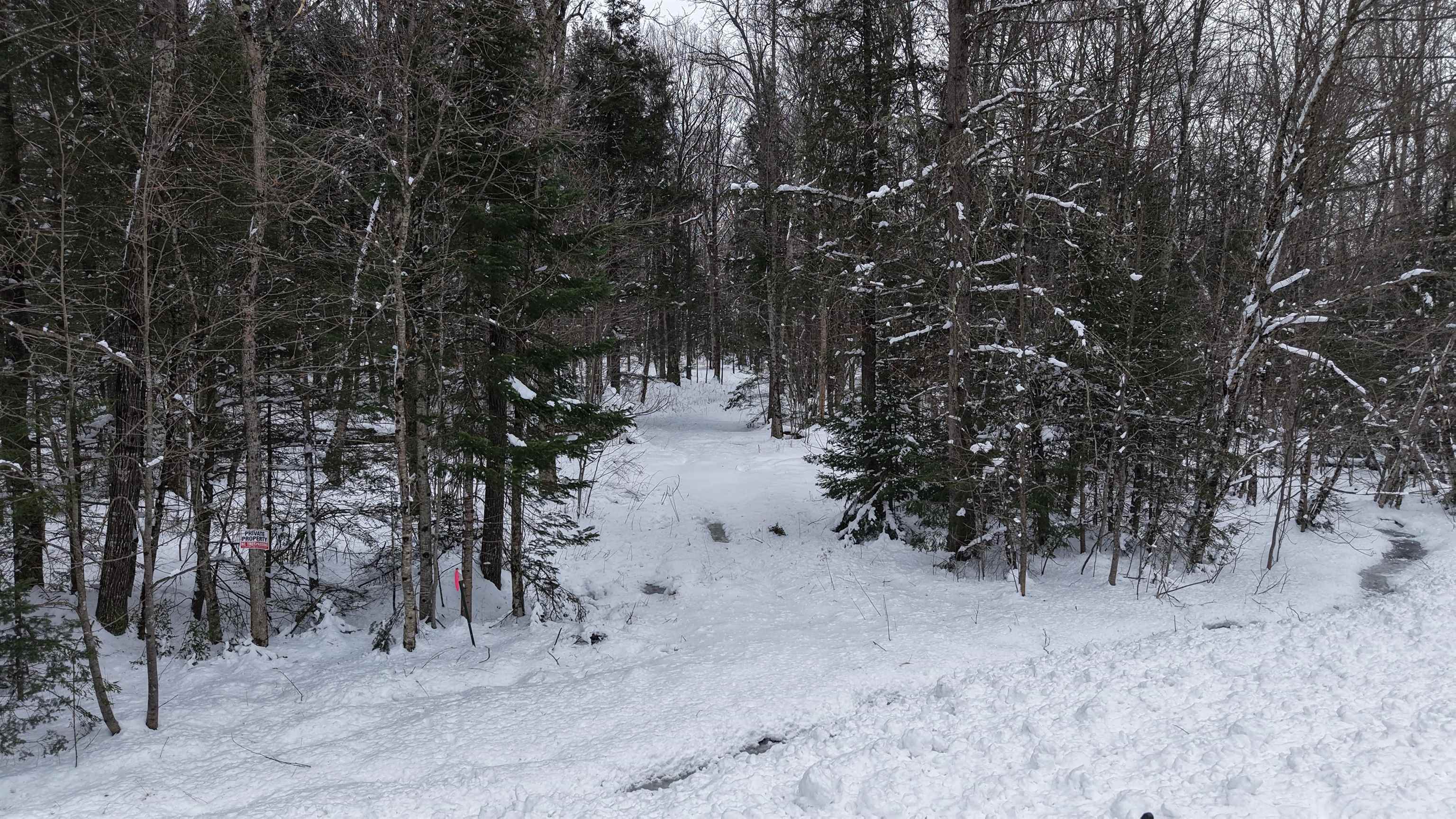 43-ac County Road FF Merrill, WI 54452 - Photo 4 of 24