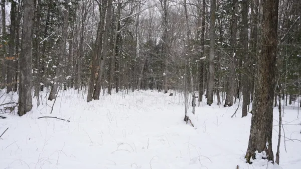 $230,000 | 43-ac County Road FF, Merrill, WI 54452