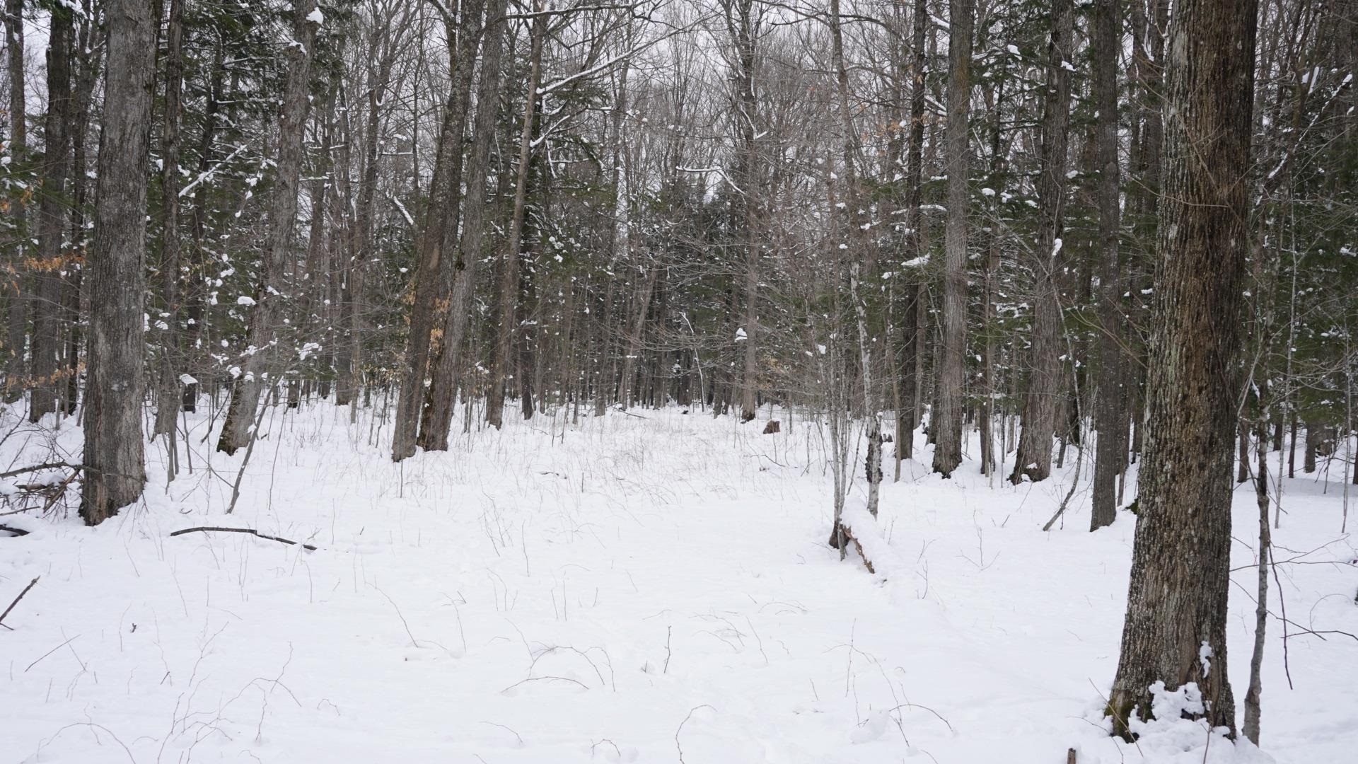 43-ac County Road FF Merrill, WI 54452 - Photo 6 of 24
