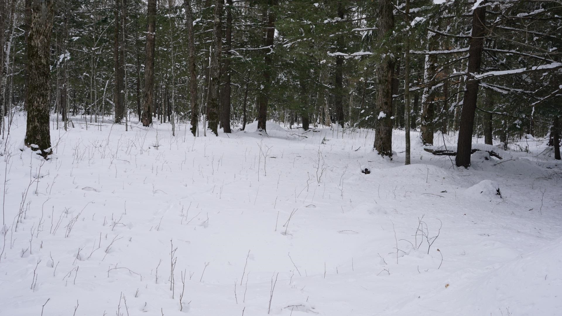 43-ac County Road FF Merrill, WI 54452 - Photo 7 of 24