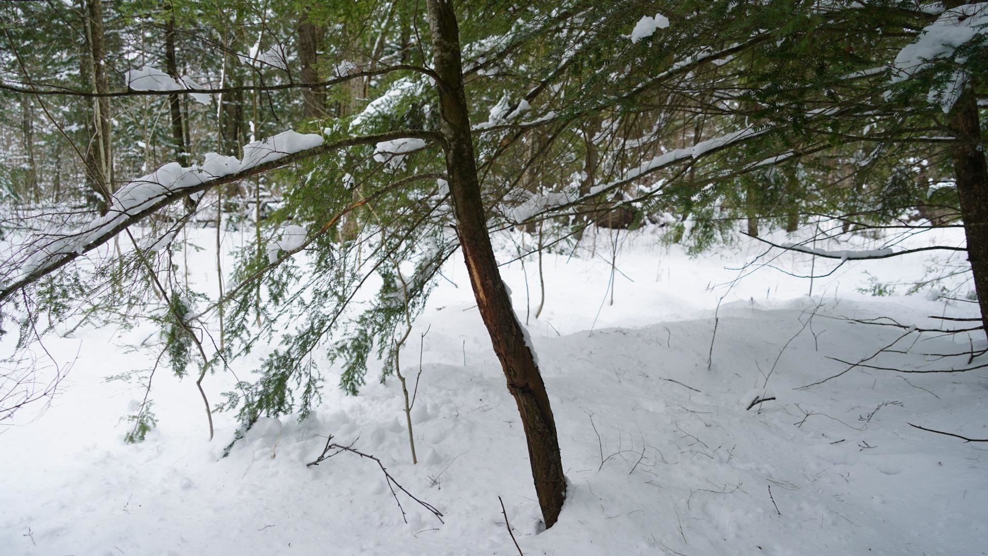 43-ac County Road FF Merrill, WI 54452 - Photo 9 of 24