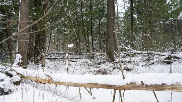 $230,000 | 43-ac County Road FF, Merrill, WI 54452