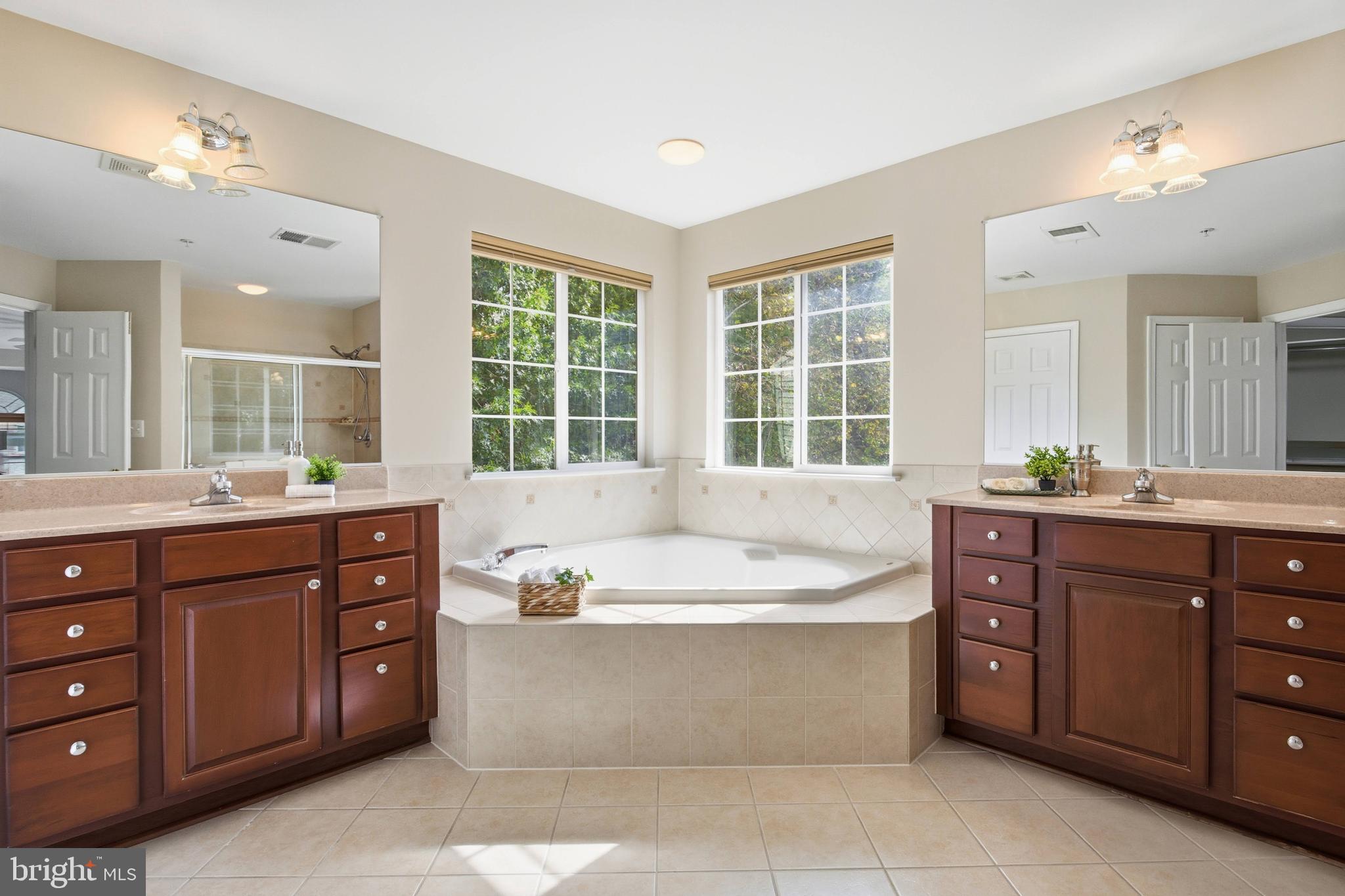 9013 Helmsley Drive Clinton, MD 20735 - Photo 46 of 68 a spacious bathroom with a tub sink and mirror