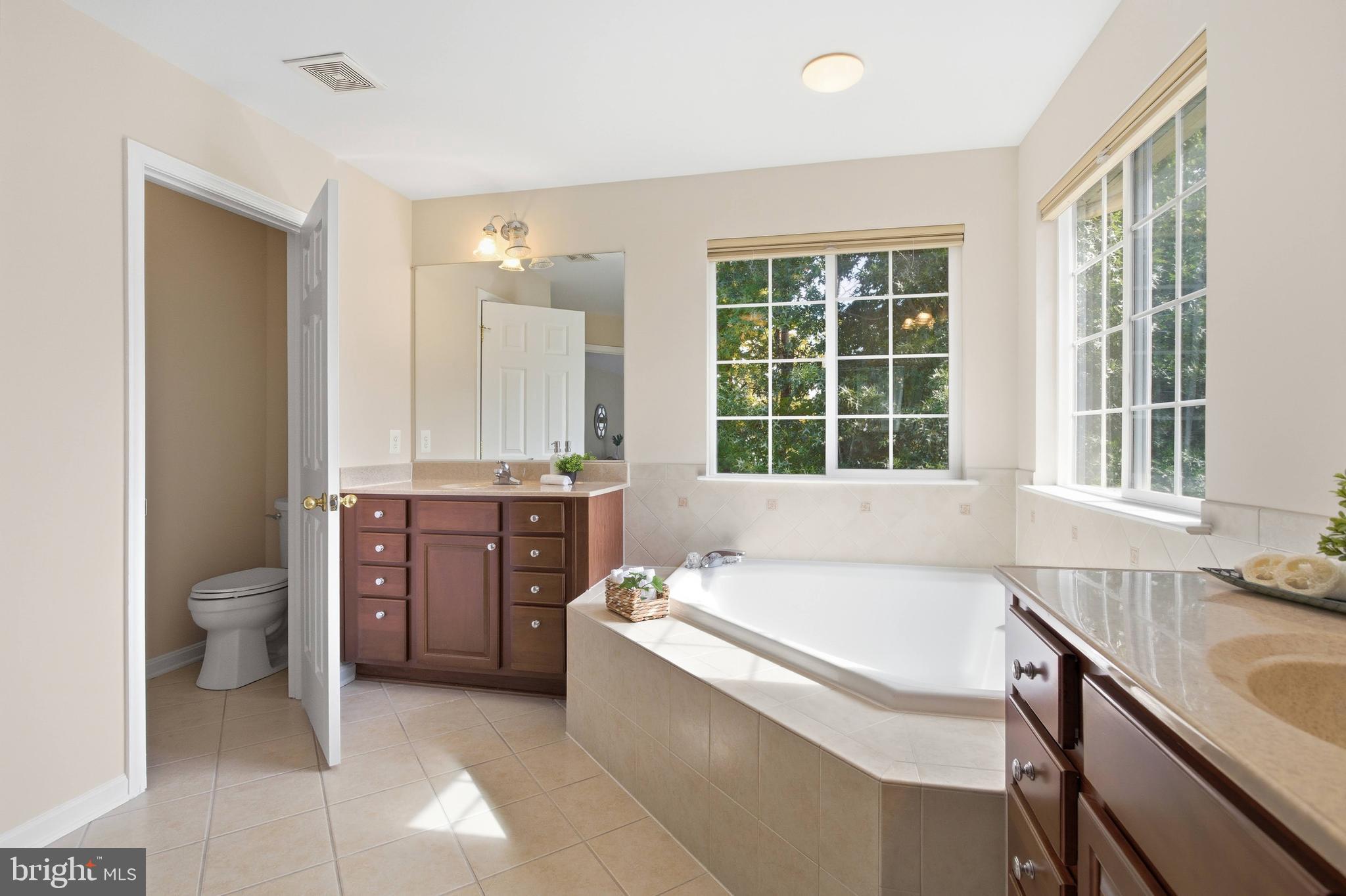 9013 Helmsley Drive Clinton, MD 20735 - Photo 48 of 68 a spacious bathroom with a granite countertop tub sink and mirror