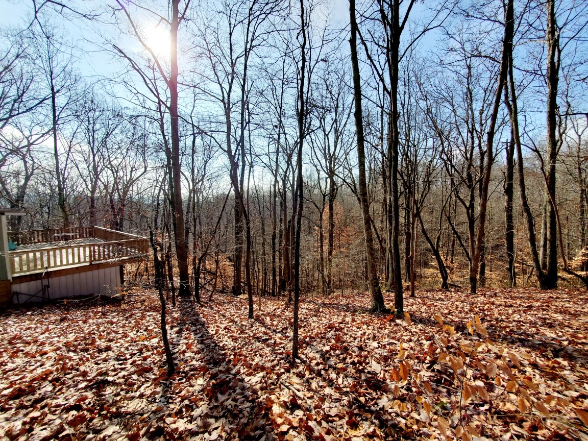 446 Mockingbird Hill Road Eva, TN 38333 - Photo 26 of 70 Gallery Image 26