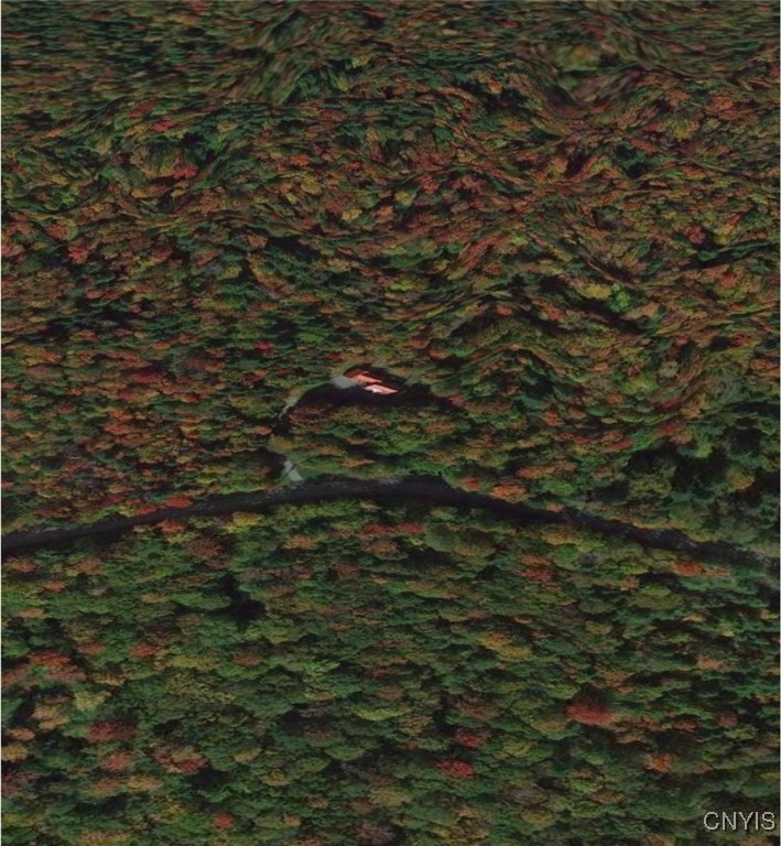 9831 Steam Mill Road Camden, NY 13316 - Photo 2 of 27 Private, secluded living