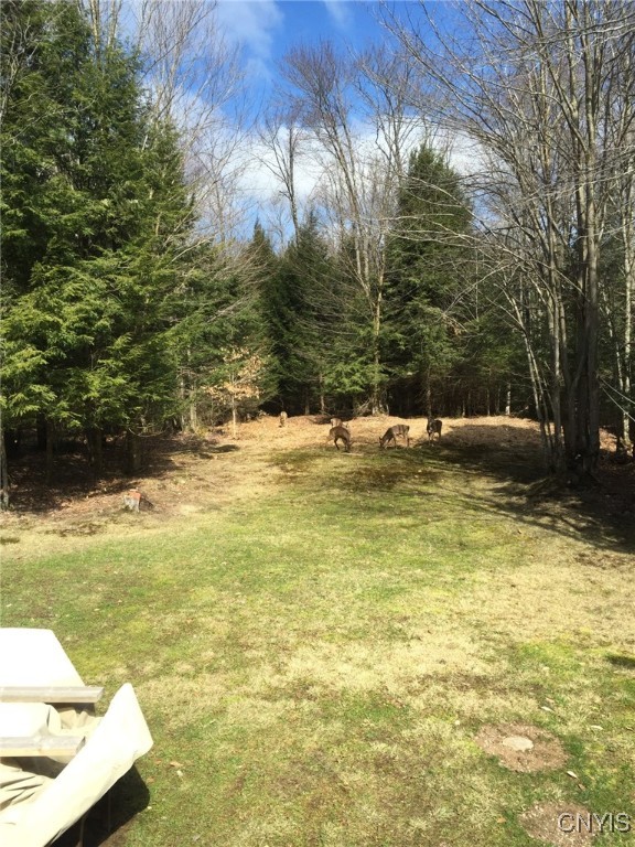 9831 Steam Mill Road Camden, NY 13316 - Photo 3 of 27