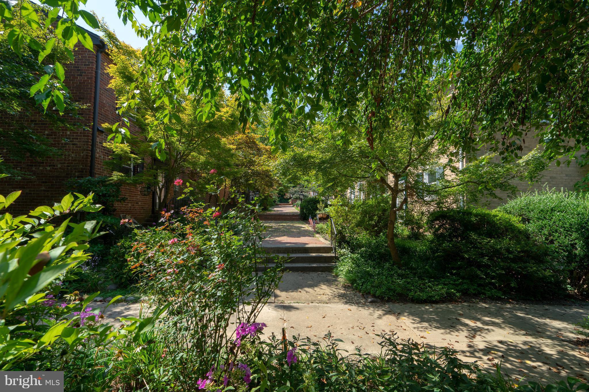 3857 Chain Bridge Road Fairfax, VA 22030 - Photo 27 of 30 Beautiful mature landscaping. Oasis in the city!!