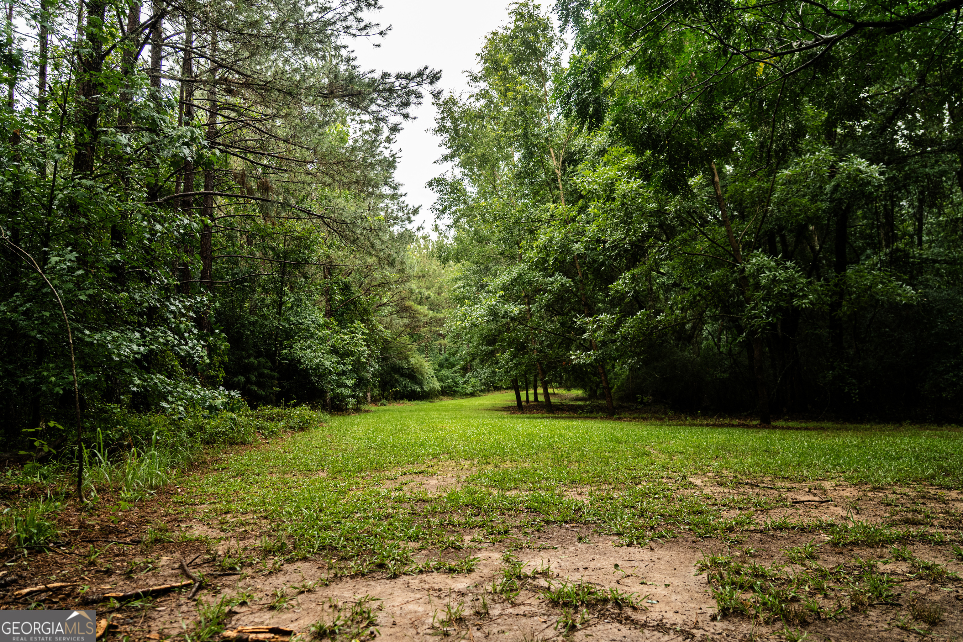 990 Highway 49 Americus, GA 31719 - Photo 56 of 121