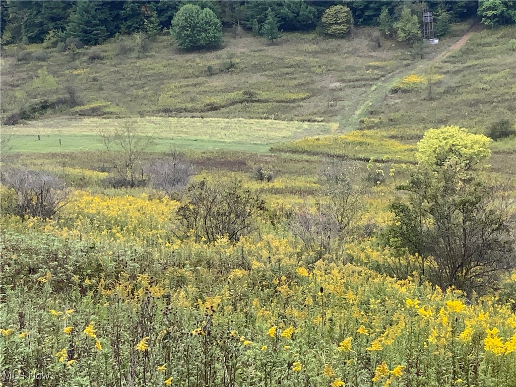 Taylor Road Dennison, OH 44621 - Photo 16 of 27 View of local wilderness featuring a rural view
