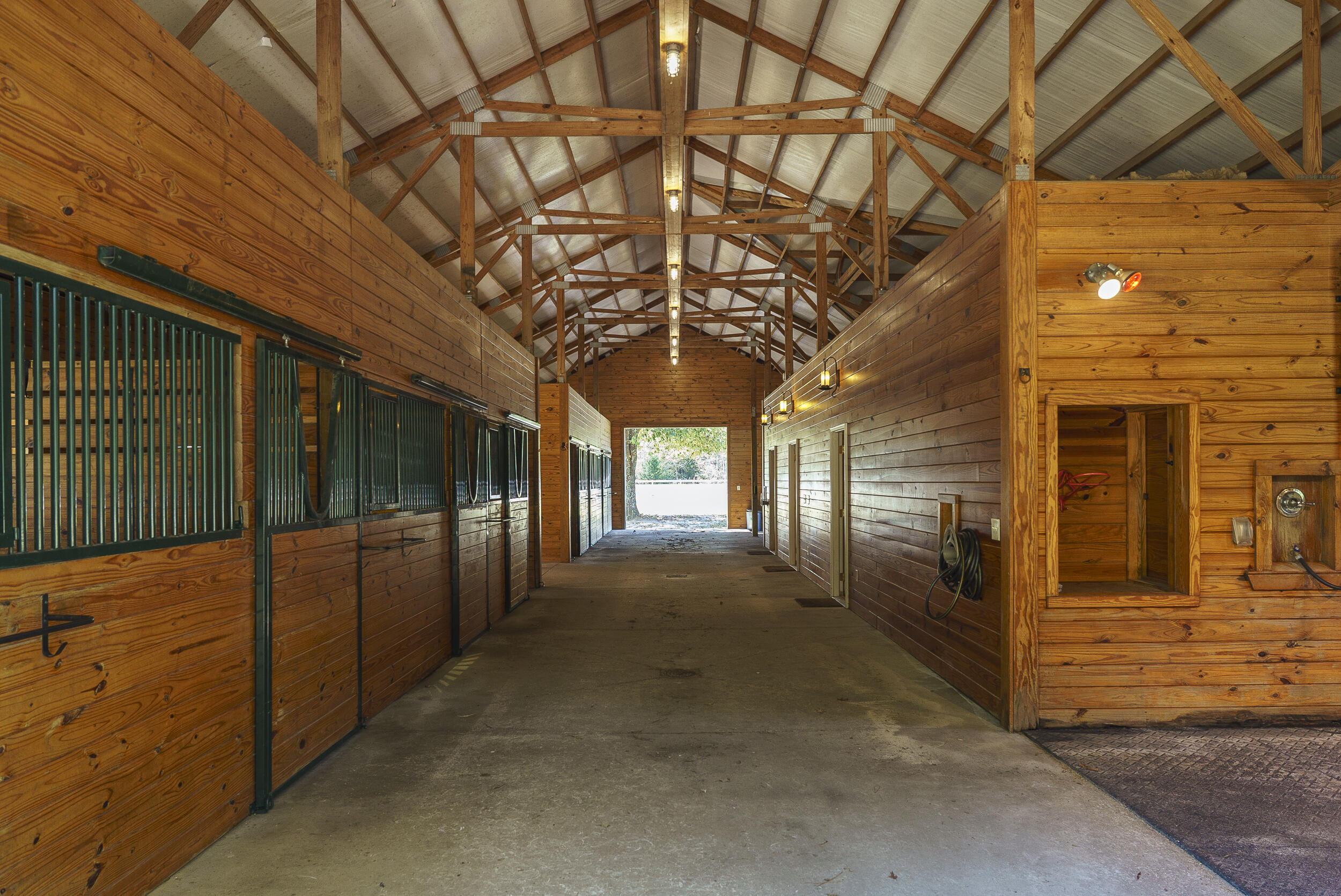 1040 Bethcar Church Road Wagener, SC 29164 - Photo 4 of 39 Gallery Image 4