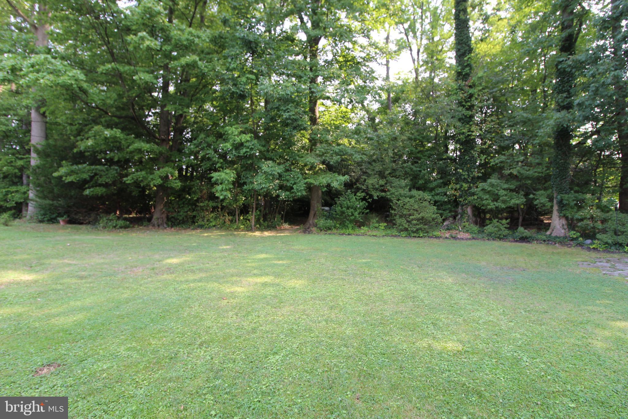 714 Halstead Road Wilmington, DE 19803 - Photo 38 of 38 You cannot beat this wooded lot!