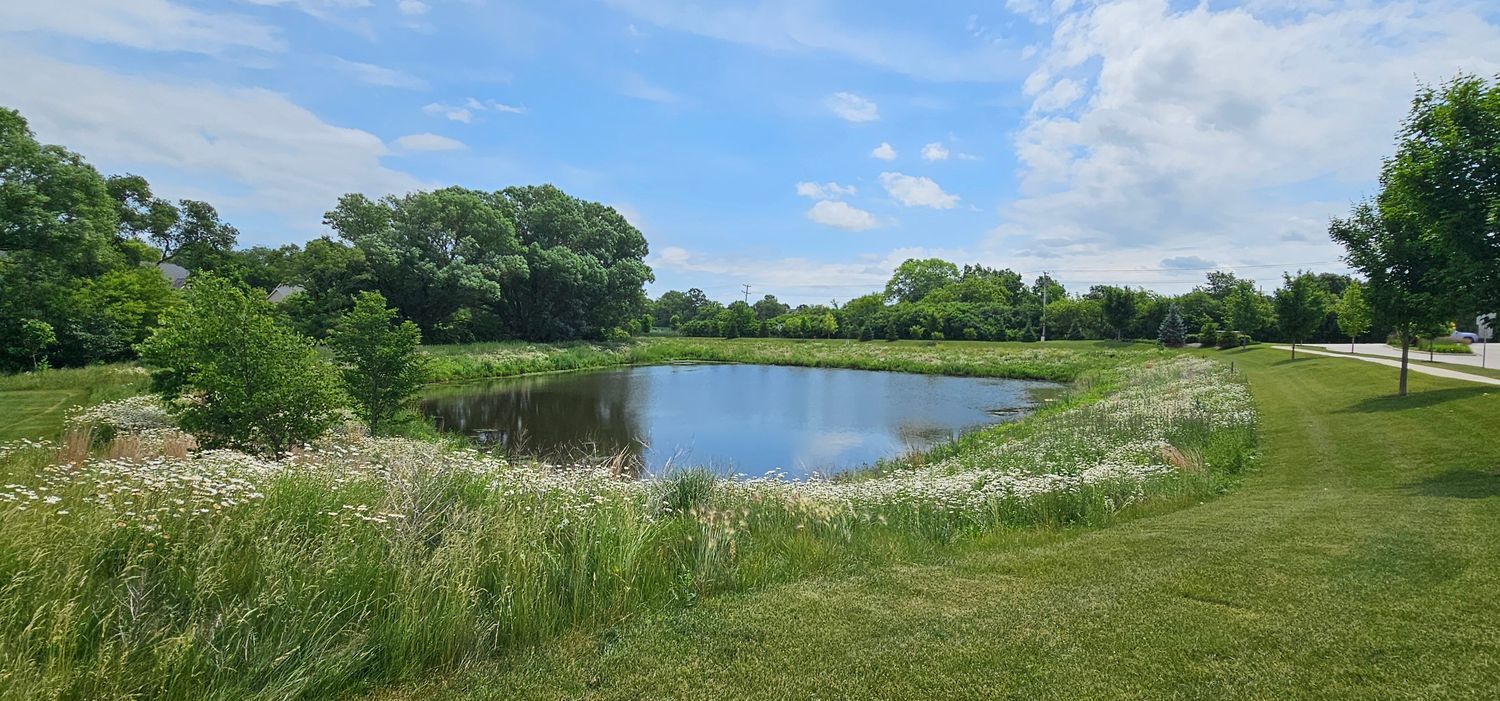 1039 Raupp Court Lake Zurich, IL 60047 - Photo 21 of 32