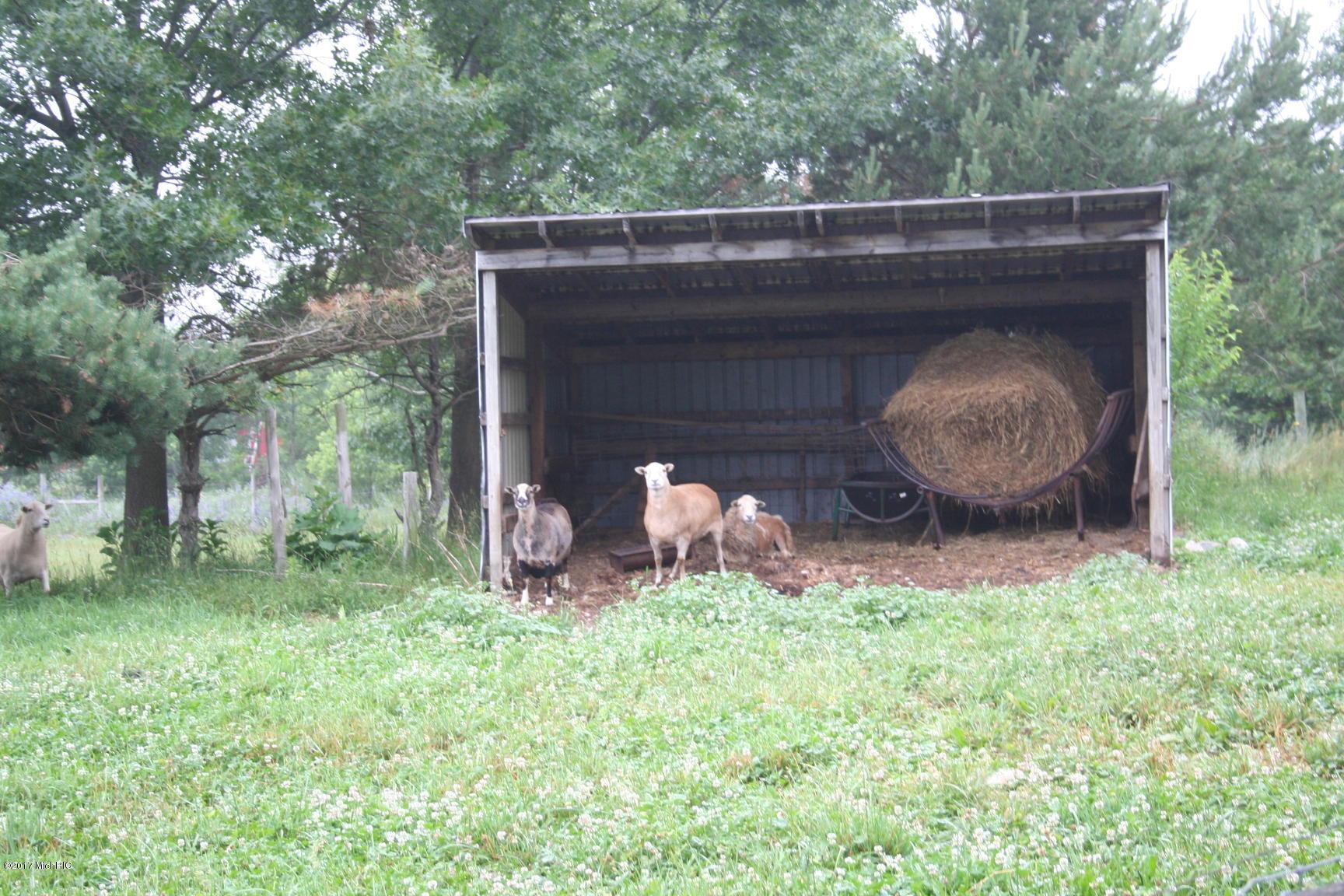 888 North Park Road Coloma, MI 49038 - Photo 59 of 61 IMG_1043