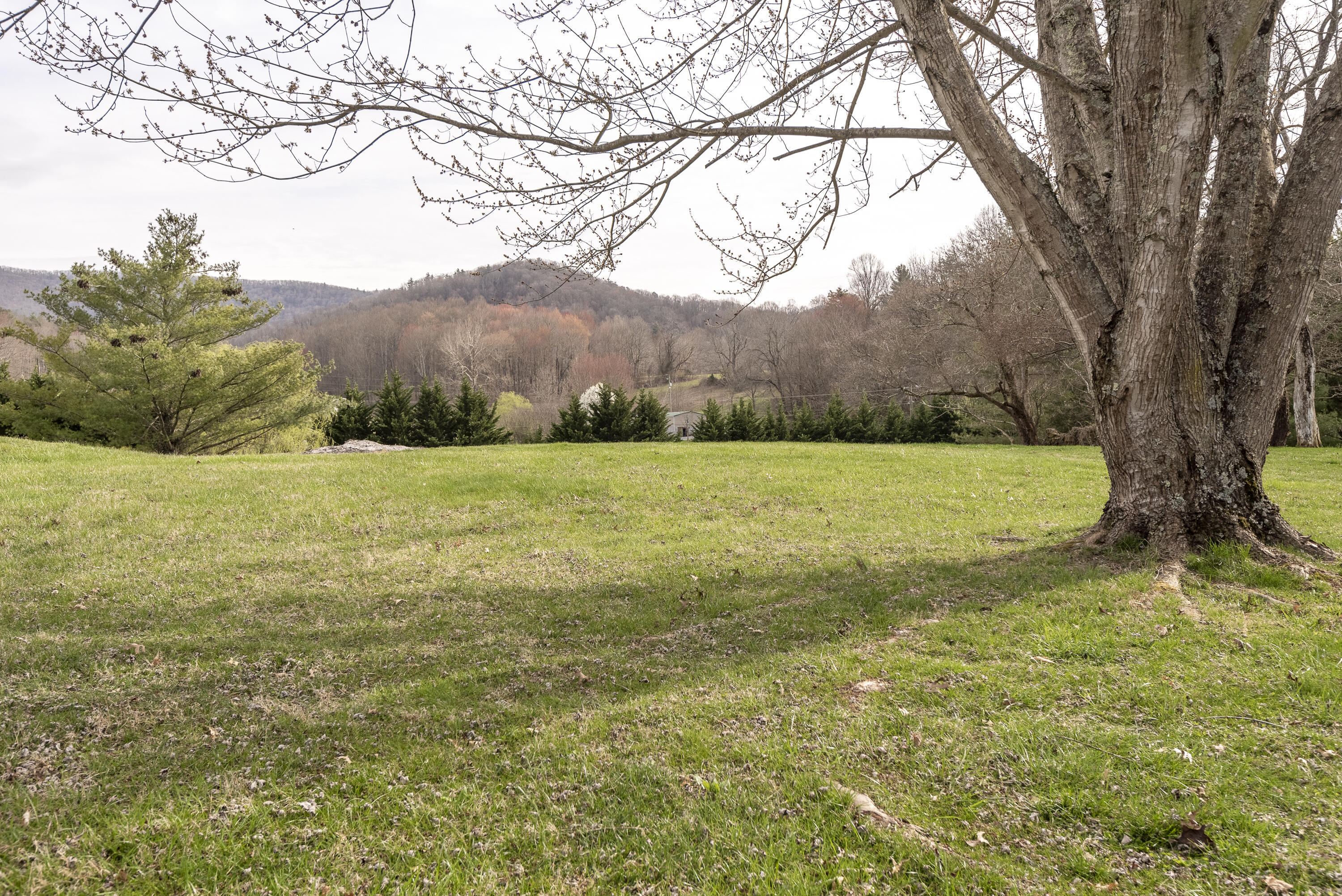 37416 Widener Valley Road Glade Spring, VA 24340 - Photo 26 of 26 37416-Widner-Valley-Rd Matt-Smith-Realty