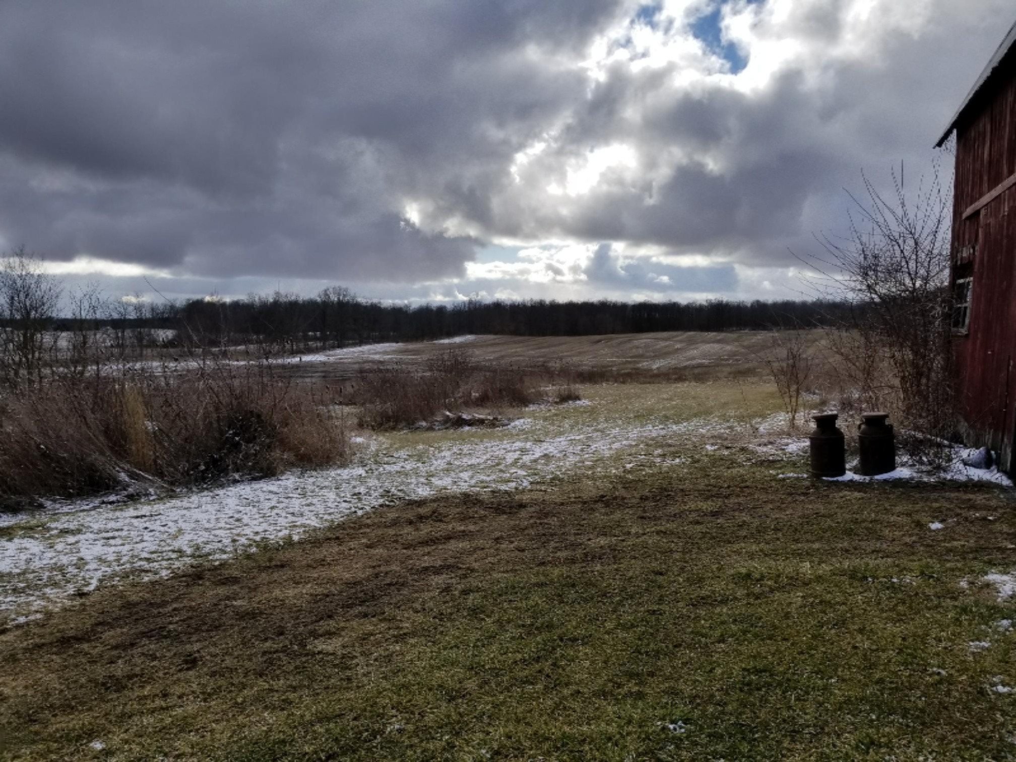 15520 Woodard Road Montgomery, MI 49255 - Photo 23 of 50 watch the wildlife
