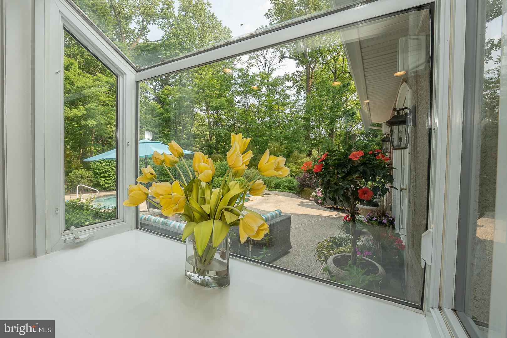 735 Hamilton Road Bryn Mawr, PA 19010 - Photo 24 of 66 Green house window with a gorgeous view