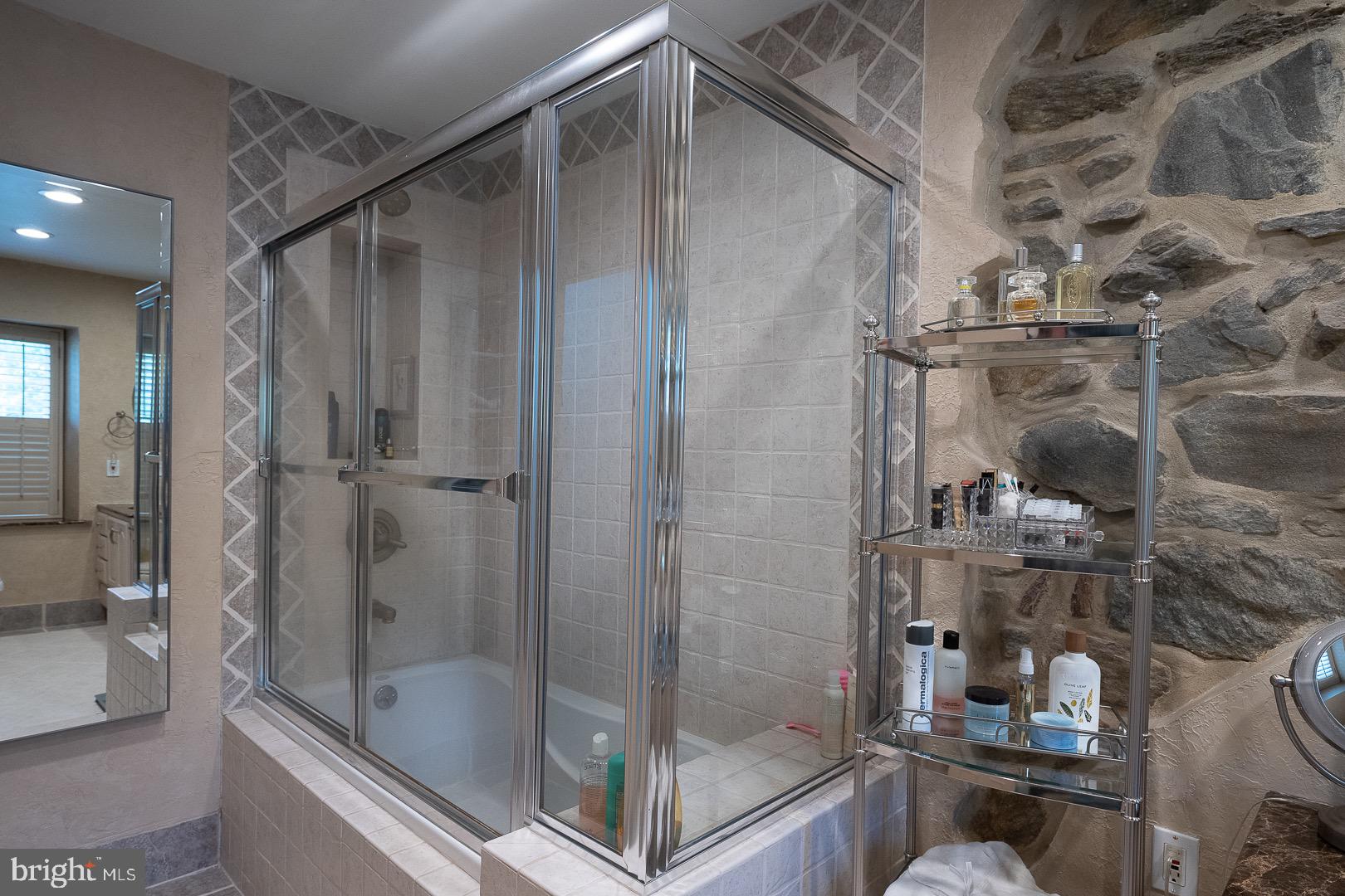 735 Hamilton Road Bryn Mawr, PA 19010 - Photo 37 of 66 Sumptuous tub/shower combination