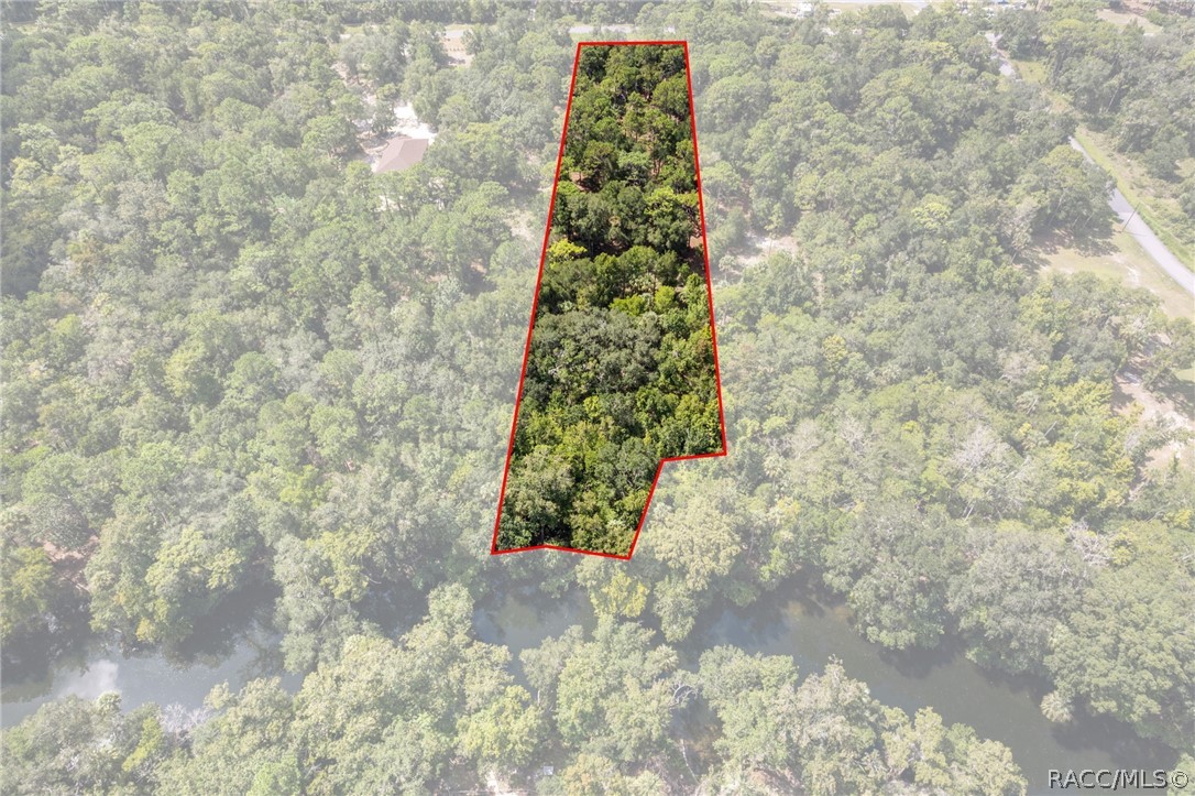 13707 West Foss Grove Path Inglis, FL 34449 - Photo 2 of 20 Gallery Image 2