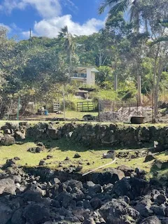 a view of swimming pool with a yard