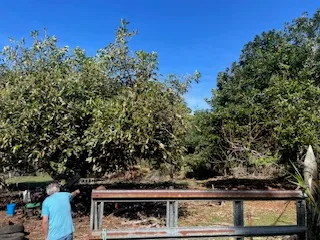 a view of a car parked in front of a building