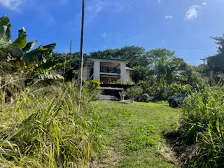 a view of a back yard