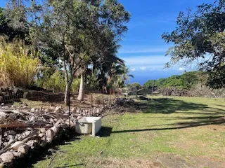 a view of a garden with an outdoor space