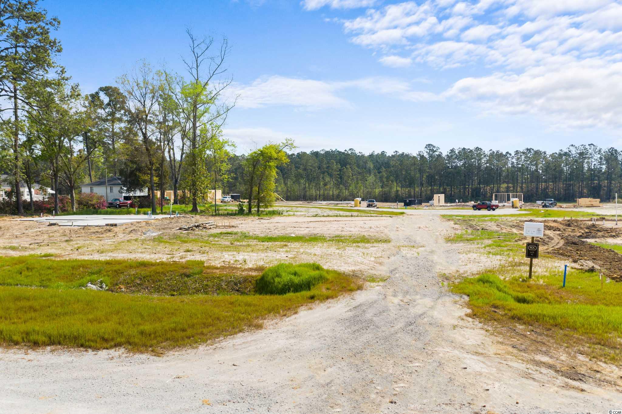 4697 Smith Road Conway, SC 29526 - Photo 3 of 19 Gallery Image 3