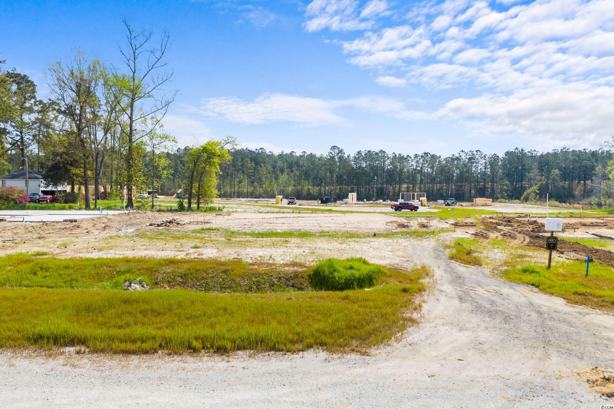 4697 Smith Road Conway, SC 29526 - Photo 4 of 19 Gallery Image 4