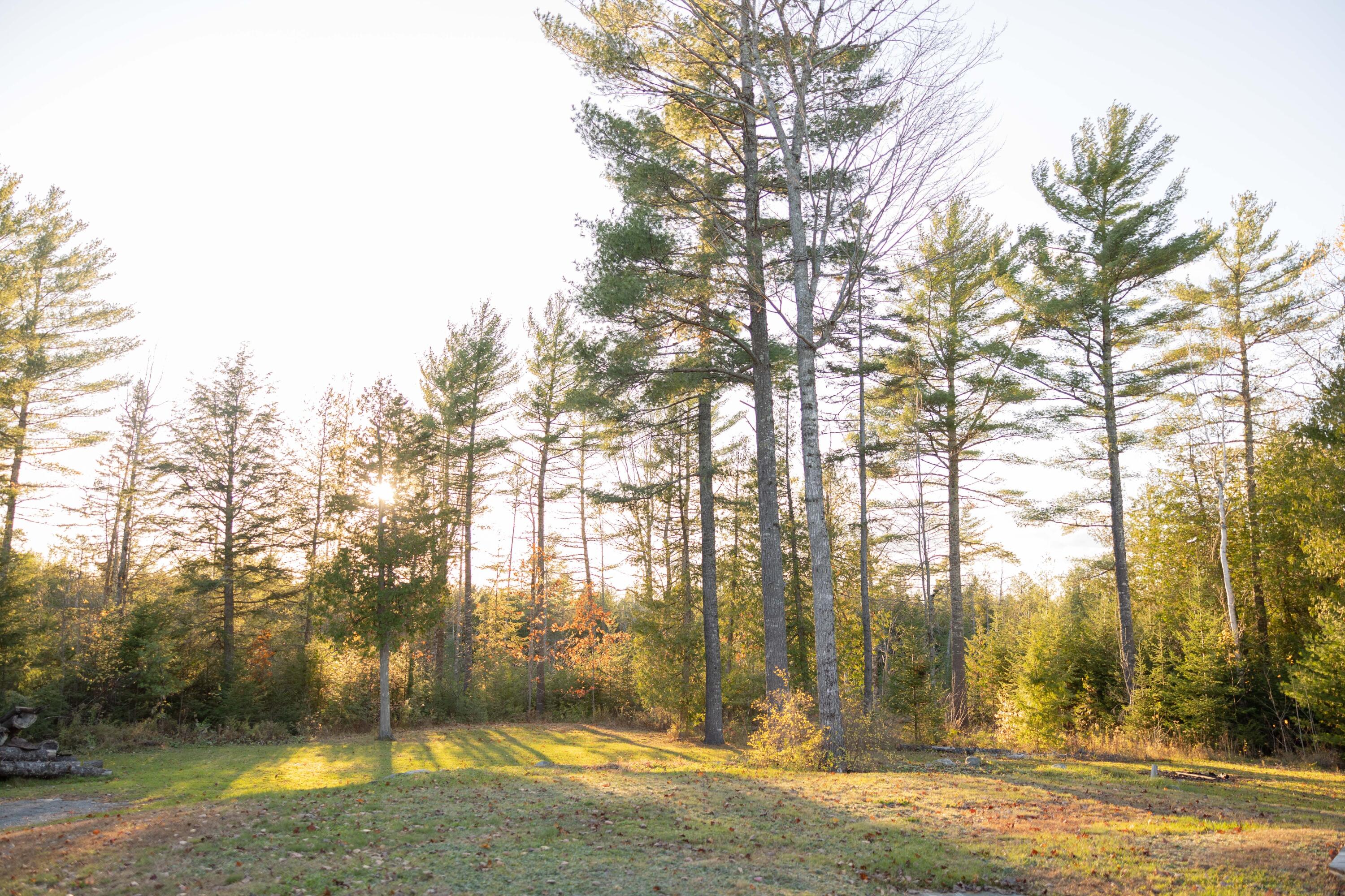 177 10 Road Bradley, ME 04411 - Photo 43 of 46 Back Yard