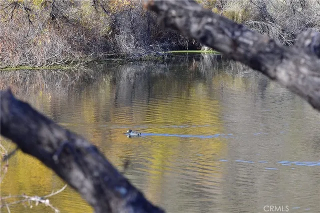 $888,000 | 21734 Appaloosa Court, Canyon Lake, CA 92587