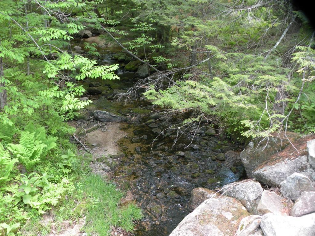 0 Ryerson Hill Road South Paris, ME 04281 - Photo 4 of 9 Photo