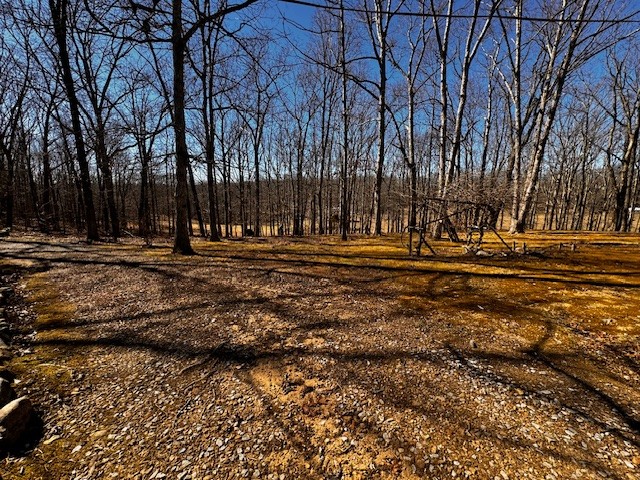 6910 Rowe Gap Road Belvidere, TN 37306 - Photo 21 of 30 a view of outdoor space with trees