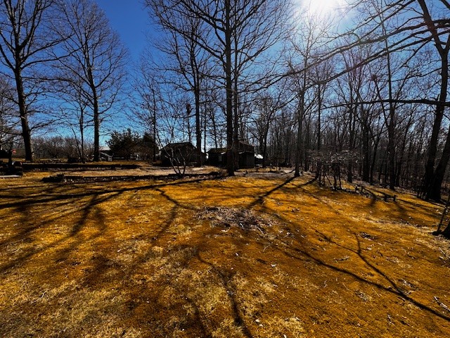 6910 Rowe Gap Road Belvidere, TN 37306 - Photo 25 of 30 a view of a yard with trees on both side of house