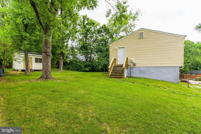 a backyard of a house with plants and large tree