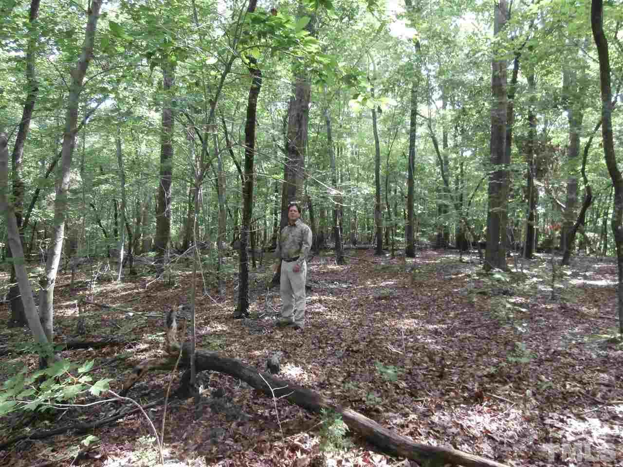 0 Tom Webb Road, Unit NA Roxboro, NC 27574 - Photo 2 of 3 Gallery Image 2