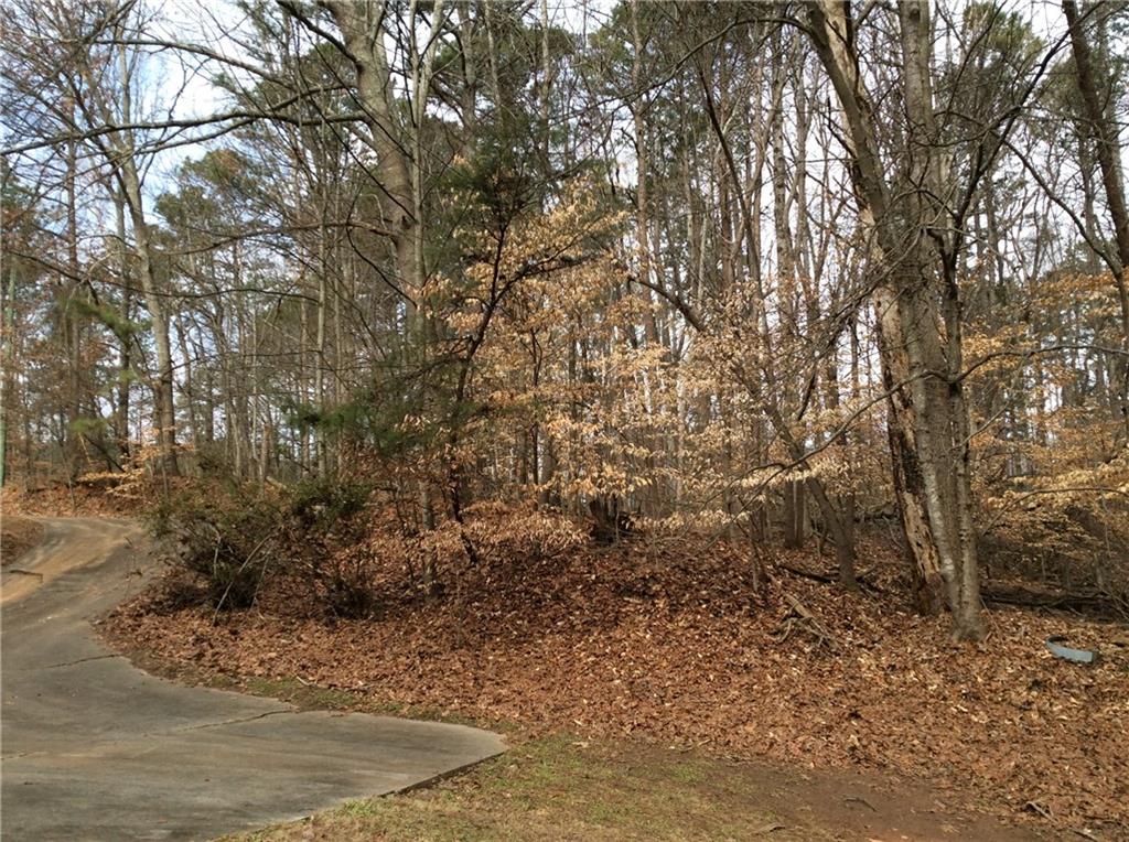 3161 Marble Quarry Road Canton, GA 30114 - Photo 9 of 26 Gallery Image 9