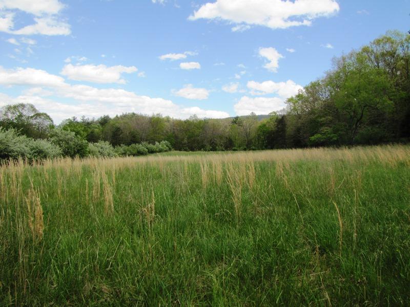 329 Trout Run Road Waiteville, WV 24984 - Photo 87 of 91 Gallery Image 87