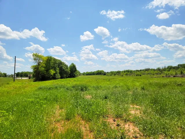 a view of a big yard with lots of green space