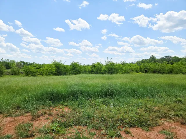 a view of a green field with lots of trees