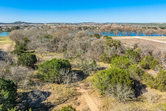 a view of a city with flower plants in front of it