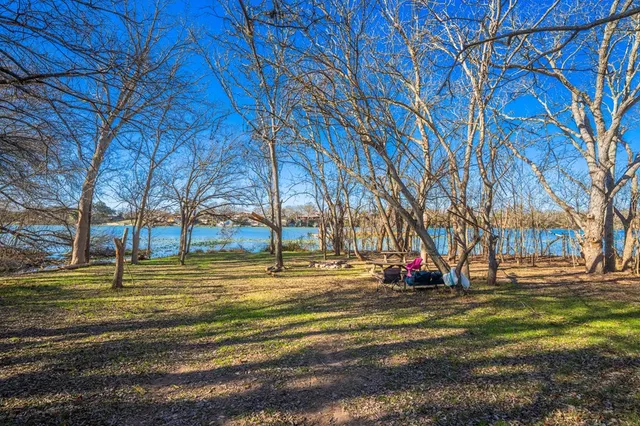 a view of under tree