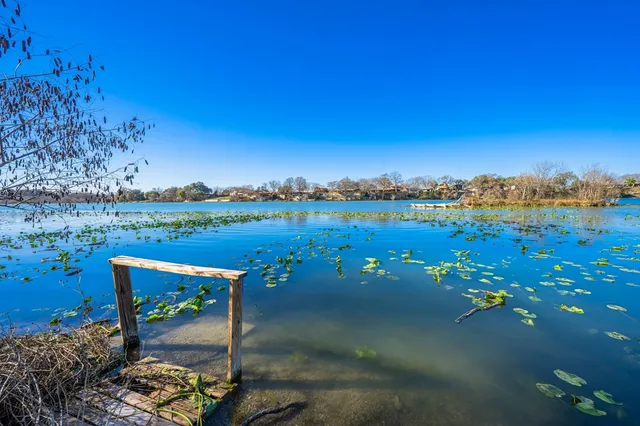 a bench sitting in the middle of a yard