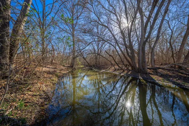 a view of a yard with wooden fence